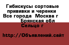 Гибискусы сортовые, прививки и черенки - Все города, Москва г.  »    . Брянская обл.,Сельцо г.